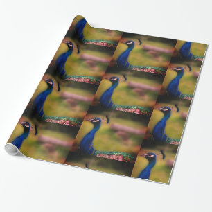 Peacock Photo  Matte Wrapping Paper