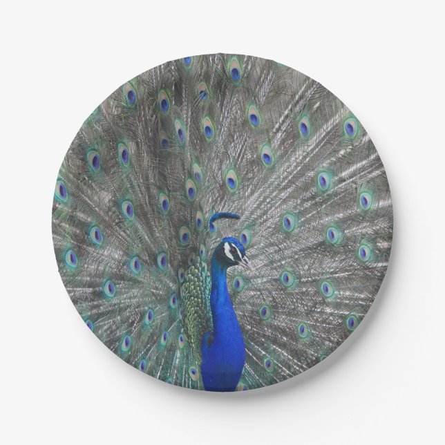 PEACOCK PHOTO PAPER PLATES (Front)