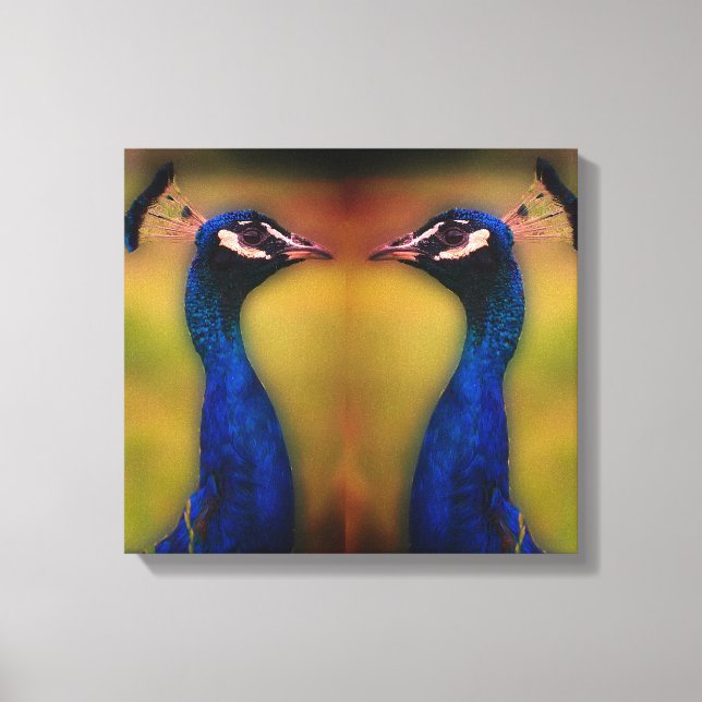 Peacock Photo Single Canvas Print (Front)