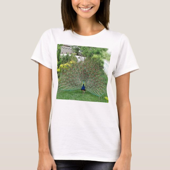 Peacock photo Women's Basic T-Shirt, White T-Shirt (Front)