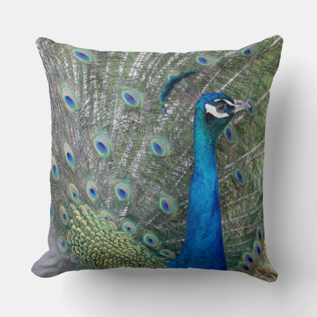 Peacock Photography Cushion (Front)