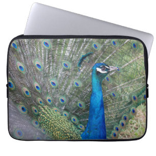 Peacock Photography Laptop Sleeve