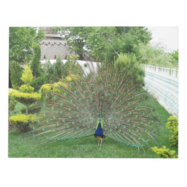 Peacock Photography Notepad (Front)
