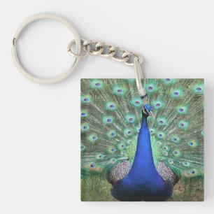 Peacock photography on keychain