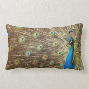 Peacock Pillow