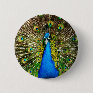 Peacock Pin