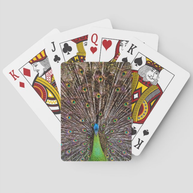 Peacock Playing Cards (Back)