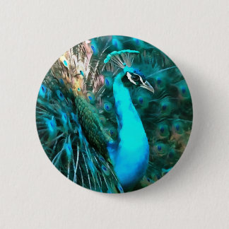 Peacock Plumage 6 Cm Round Badge