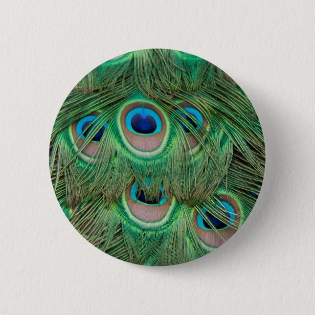 Peacock plumage 6 cm round badge (Front)