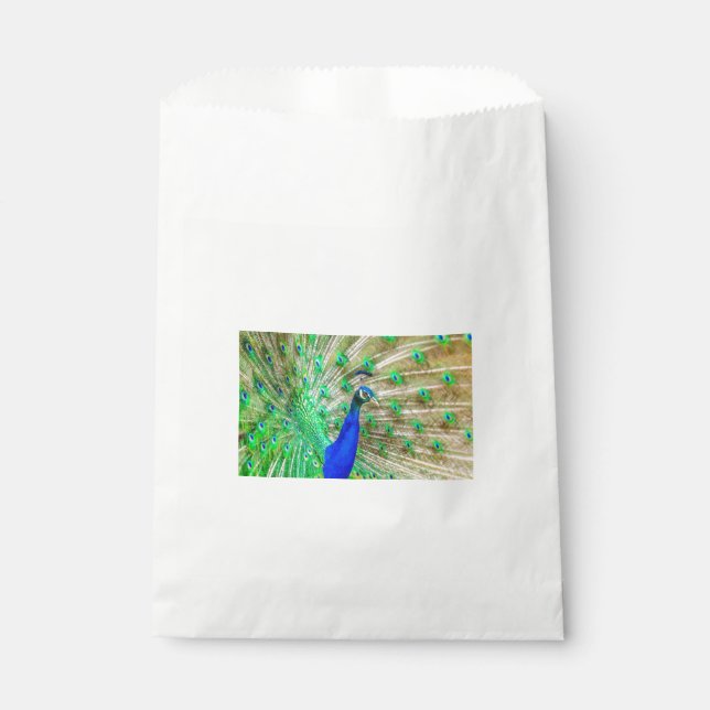 Peacock Plumage Favour Bags (Front)