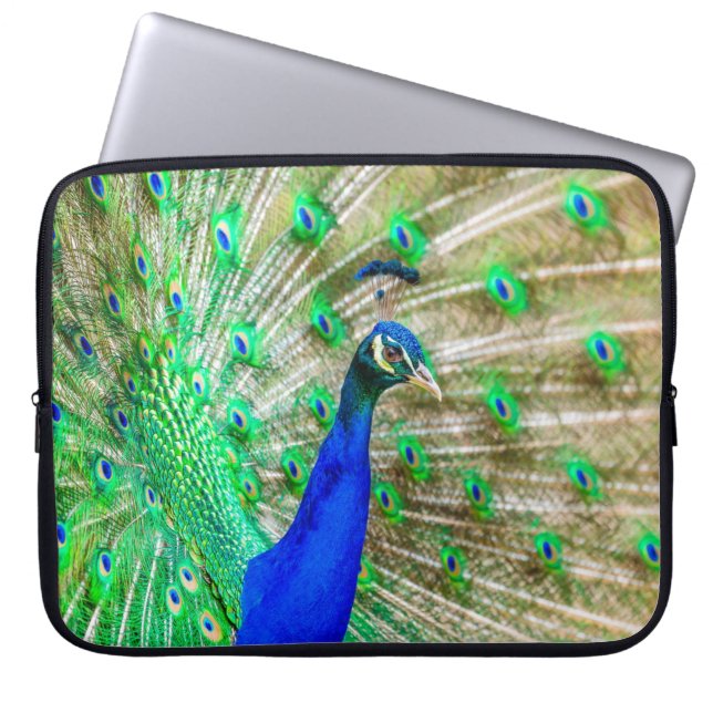 Peacock Plumage Laptop Sleeve (Front)