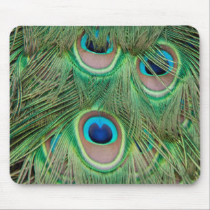 Peacock plumage mouse pad