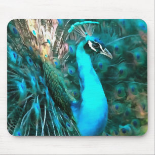 Peacock Plumage Mouse Pad