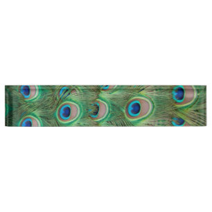 Peacock plumage nameplate
