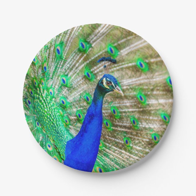 Peacock Plumage Paper Plate (Front)