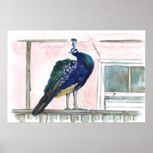 Peacock Porch House Window Pink Watercolor Poster