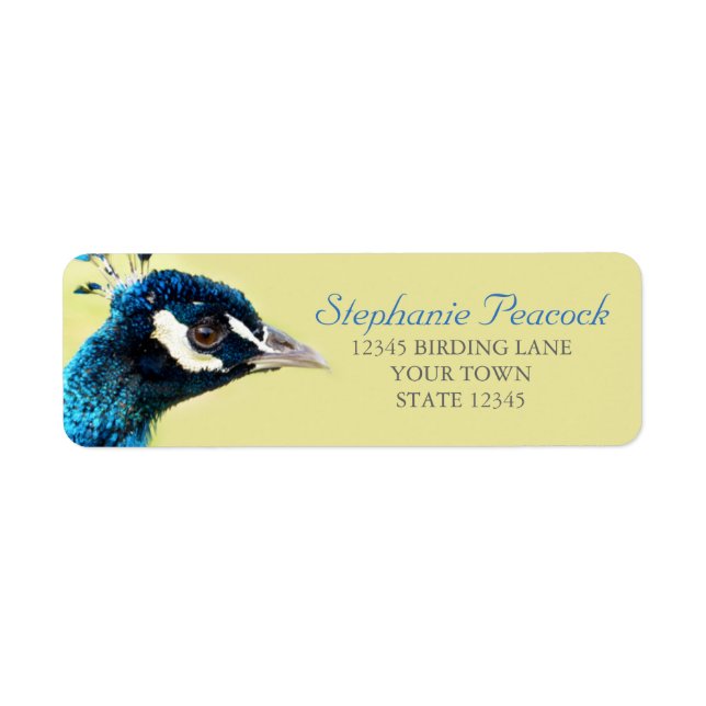 Peacock Portrait Photograph Return Address Labels (Front)