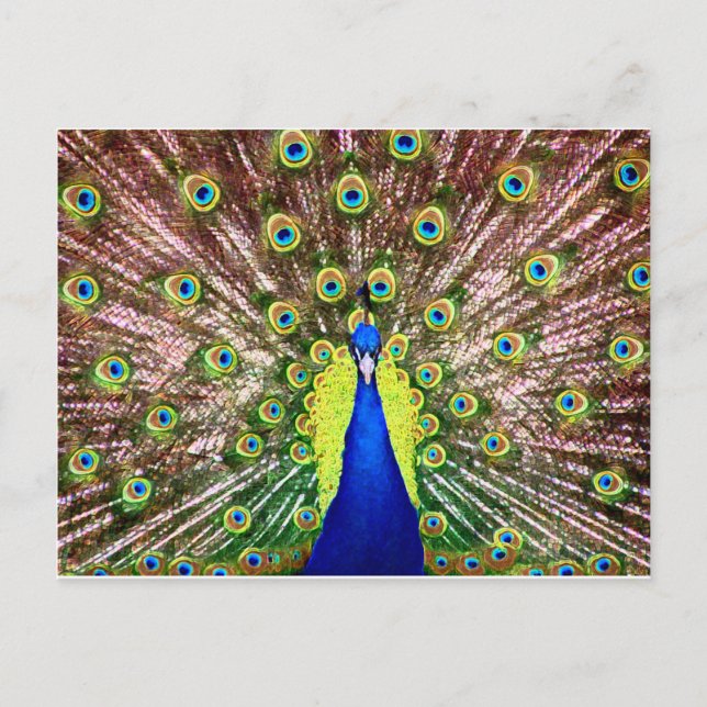 PEACOCK POSTCARD (Front)