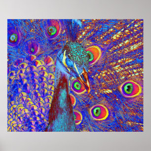 Peacock Poster