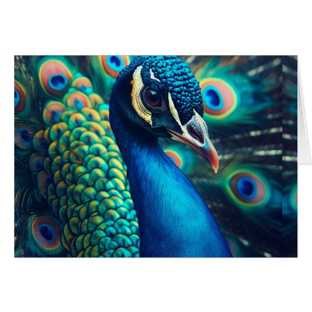 Peacock Profile Blank Inside (Front Horizontal)