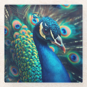 Peacock Profile Glass Coaster