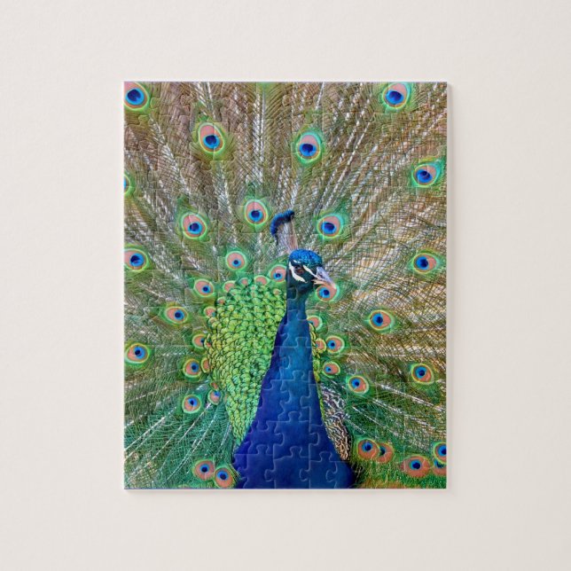 Peacock Puzzle (Vertical)