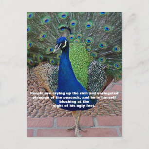 Peacock Quote Postcard