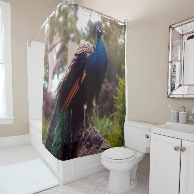 Peacock Rock Shower Curtain (In Situ)