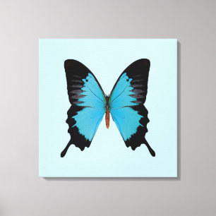 Peacock Royal Canvas Print