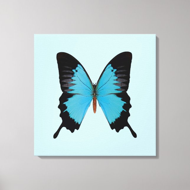 Peacock Royal Canvas Print (Front)