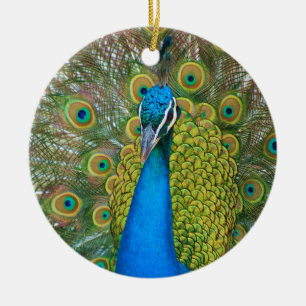 Peacock S9K.jpg Ceramic Tree Decoration