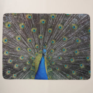 PEACOCK SHERPA BLANKET