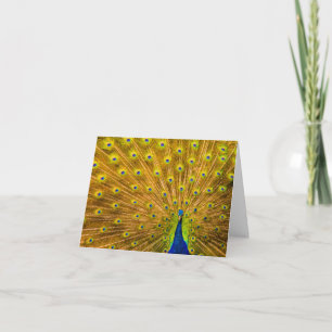 Peacock, Silver Falls, Kauai, Hawaii  Note Card