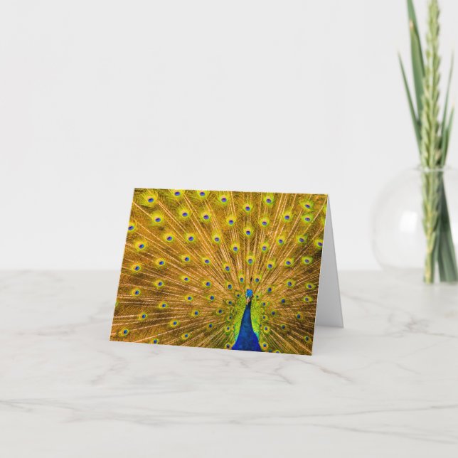 Peacock, Silver Falls, Kauai, Hawaii  Note Card (Front)