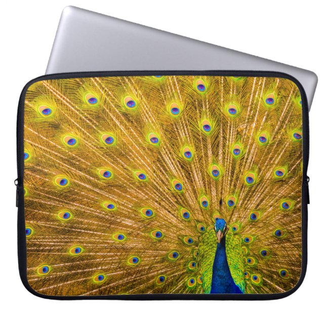 Peacock, Silver Falls, Kauai, Hawaiian Wetsuit  Laptop Sleeve (Front)