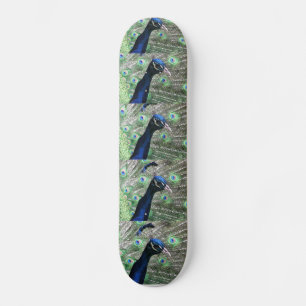 PEACOCK SKATEBOARD