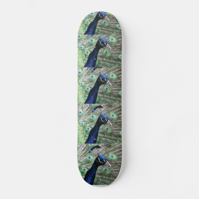 PEACOCK SKATEBOARD (Front)