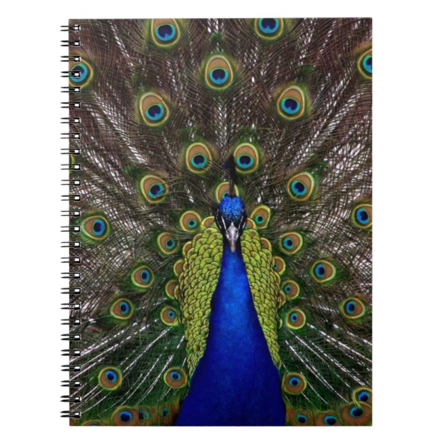 Peacock Spiral Notebook (Front)
