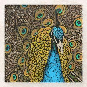 Peacock Splendour Illustration Glass Coaster