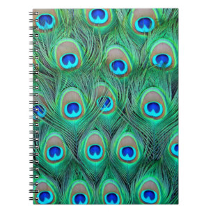 Peacock Splendour Spiral Notebook