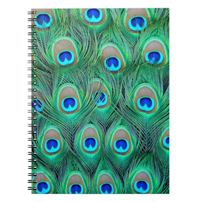 Peacock Splendour Spiral Notebook (Front)