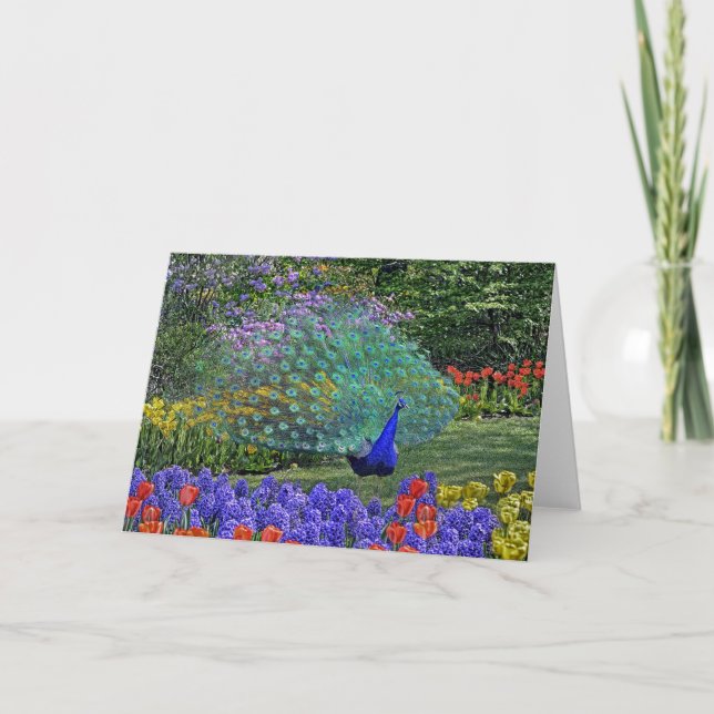 Peacock Spring Flowers 2 Card (Front)