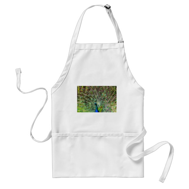 Peacock Standard Apron (Front)