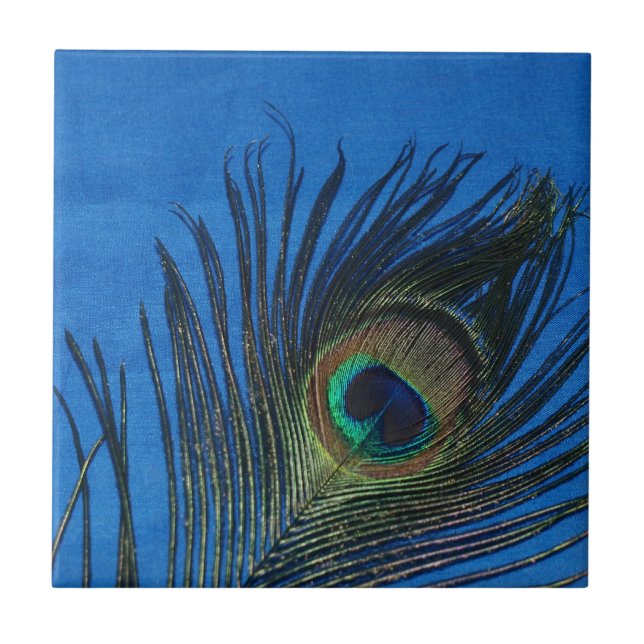 Peacock Still Life with Blue Tile (Front)