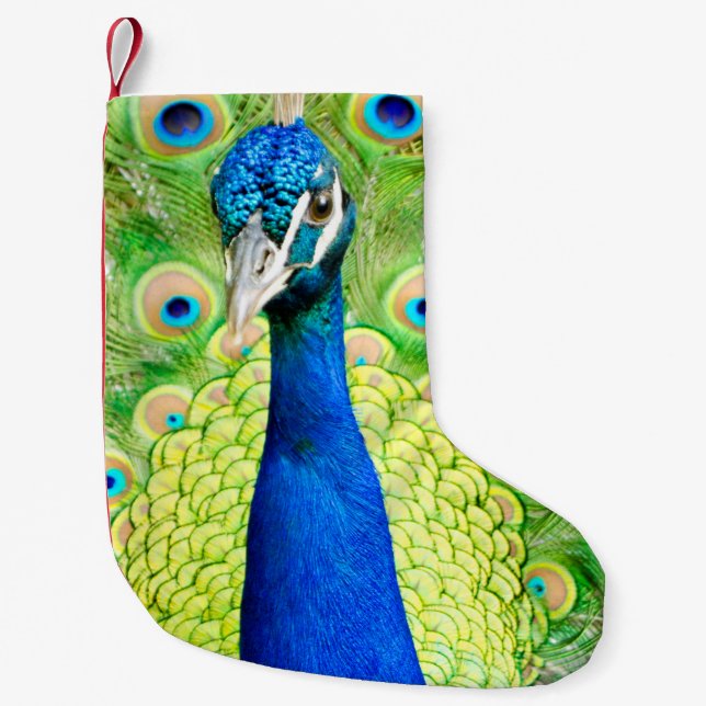 Peacock Stocking (Front)