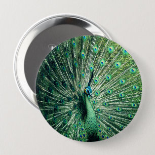 Peacock Strut 10 Cm Round Badge