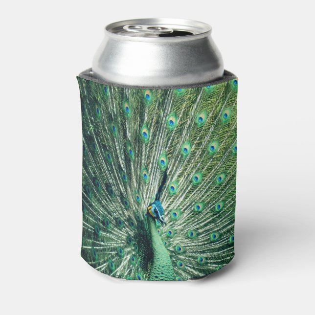 Peacock Strut  Can Cooler (Can Back)