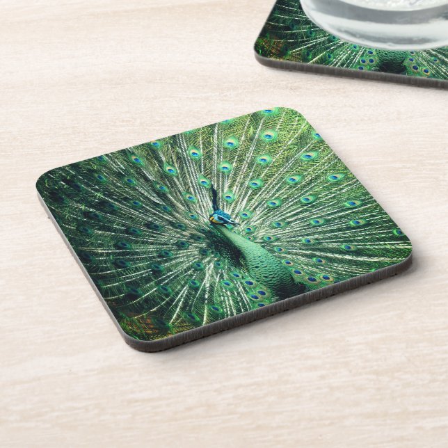 Peacock Strut  Coaster (Left Side)