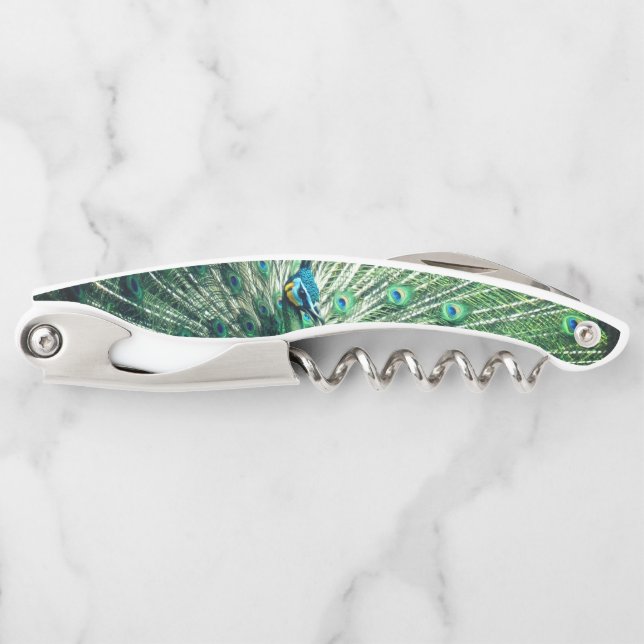 Peacock Strut  Corkscrew (Front)