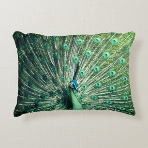 Peacock Strut Decorative Cushion